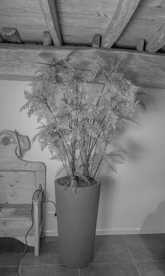 Bed and Breakfast Bed En Box 3610 Орсхот Екстер'єр фото